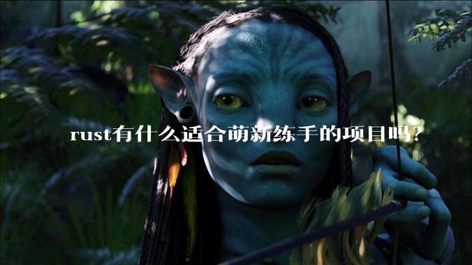 rust有什么适合萌新练手的项目吗？