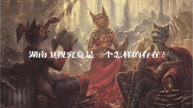 湖南卫视究竟是一个怎样的存在？