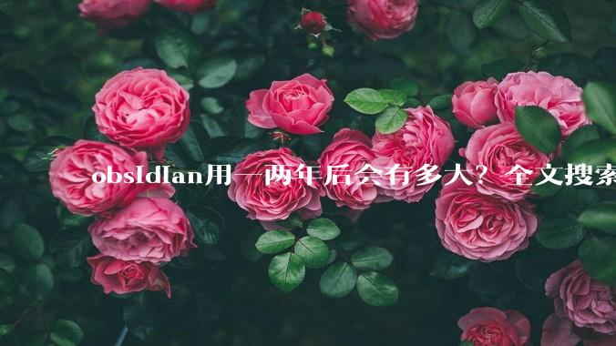 obsidian用一两年后会有多大？全文搜索还快吗？