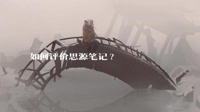 如何评价思源笔记?
