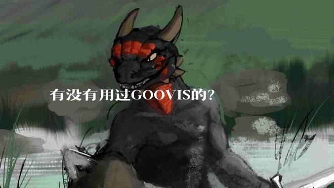 有没有用过GOOVIS的？