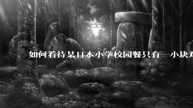 如何看待某日本小学校园餐只有一小块鸡肉？