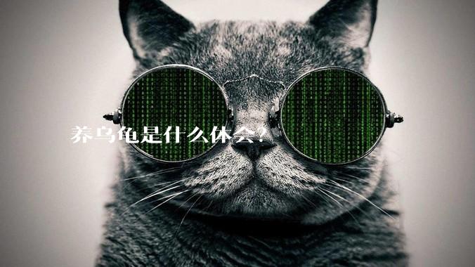 养乌龟是什么体会？