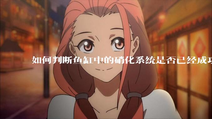 如何判断鱼缸中的硝化系统是否已经成功建立？