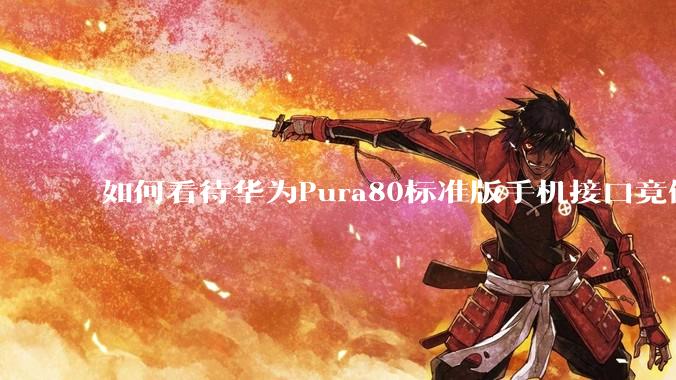 如何看待华为Pura80标准版手机接口竟倒退成USB 2.0？要是也烧了WIFI是不是不好备份数据？