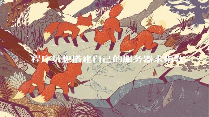 程序员想搭建自己的服务器求指教。?
