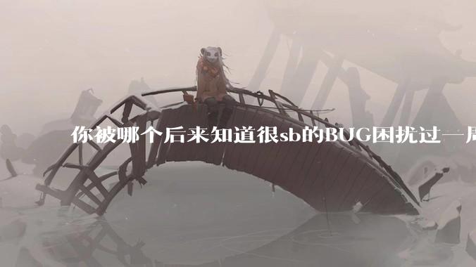 你被哪个后来知道很sb的BUG困扰过一周以上吗？