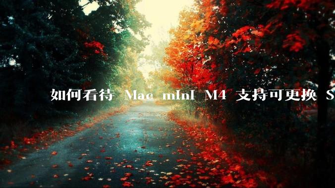 如何看待 Mac mini M4 支持可更换 SSD？