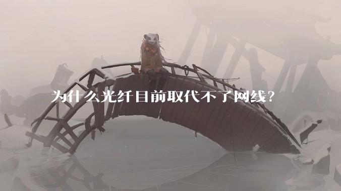 为什么光纤目前取代不了网线？