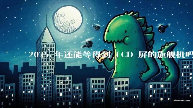 2025 年还能等得到 LCD 屏的旗舰机吗？
