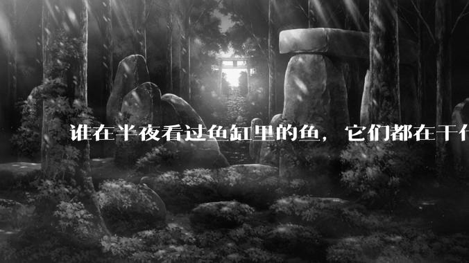 谁在半夜看过鱼缸里的鱼，它们都在干什么？