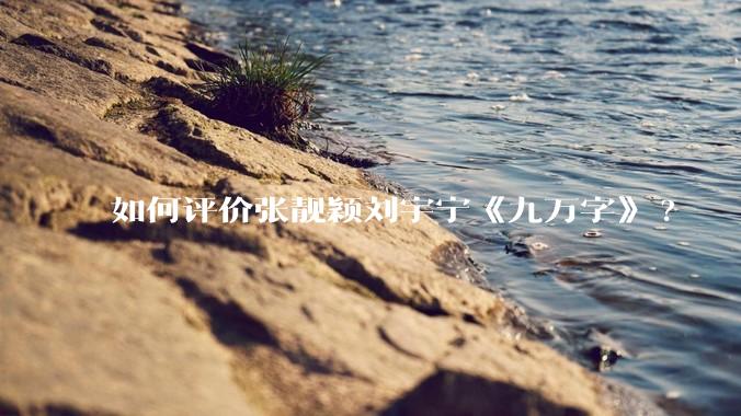 如何评价张靓颖刘宇宁《九万字》?