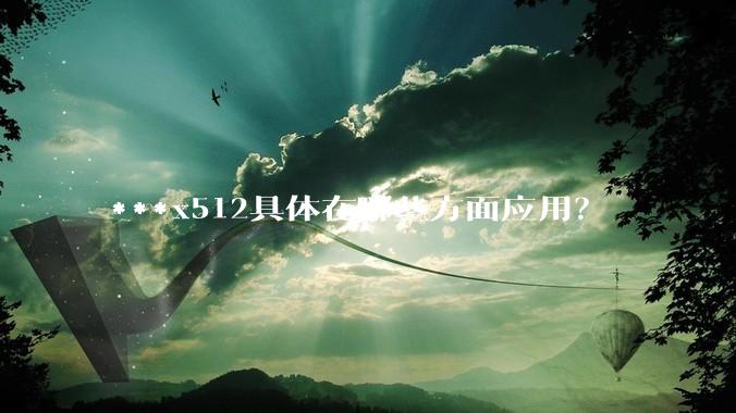 ***x512具体在哪些方面应用？