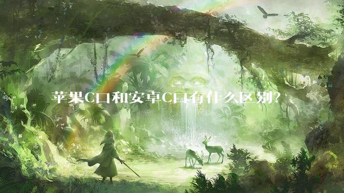 苹果C口和安卓C口有什么区别？