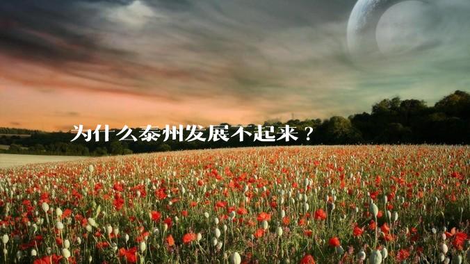 为什么泰州发展不起来?