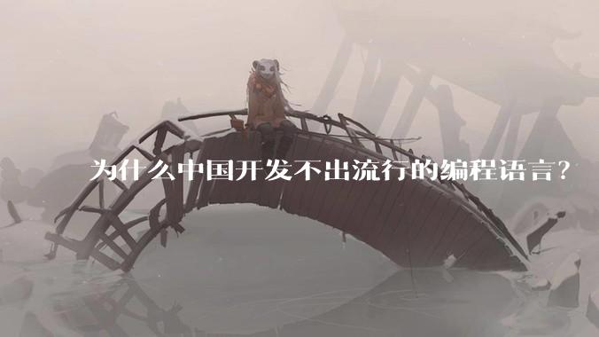 为什么中国开发不出流行的编程语言？