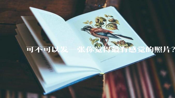 可不可以发一张你觉得最有感觉的照片？