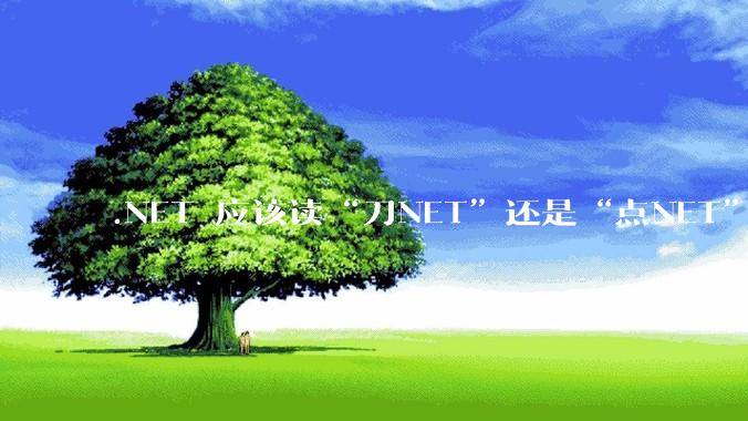 .NET 应该读“刀NET”还是“点NET”？