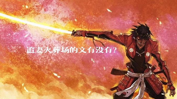 追妻火葬场的文有没有？