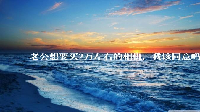 老公想要买2万左右的相机，我该同意吗？