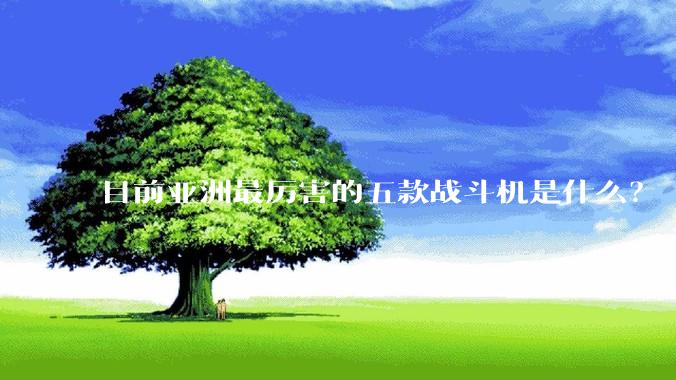 目前亚洲最厉害的五款战斗机是什么？