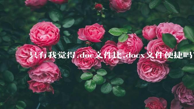 只有我觉得.doc文件比.docx文件便捷吗？
