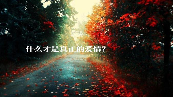 什么才是真正的爱情？