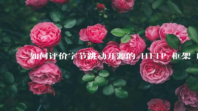如何评价字节跳动开源的 HTTP 框架 Hertz ？