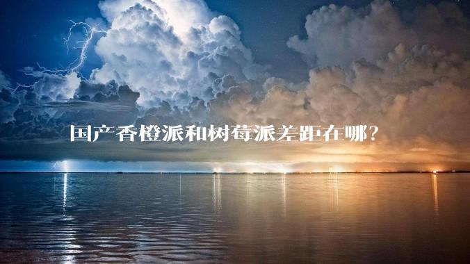 国产香橙派和树莓派差距在哪？