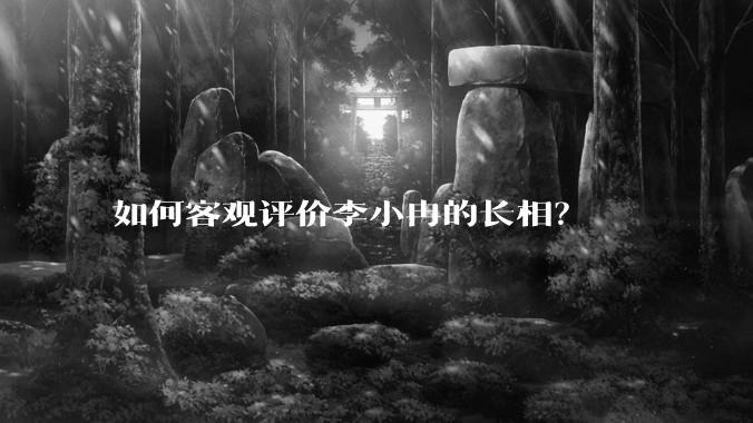 如何客观评价李小冉的长相？