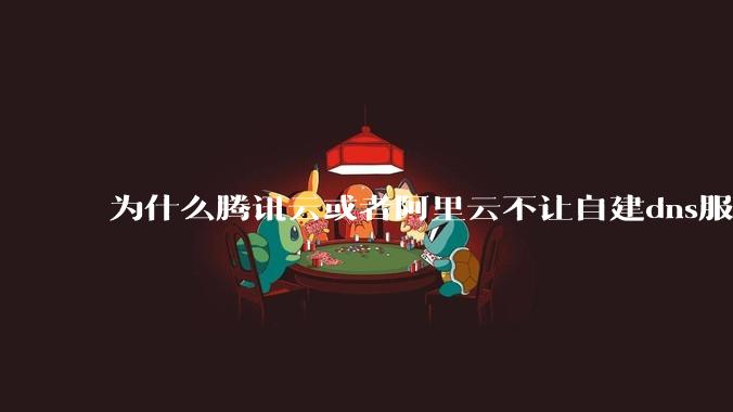 为什么腾讯云或者阿里云不让自建dns服务器?