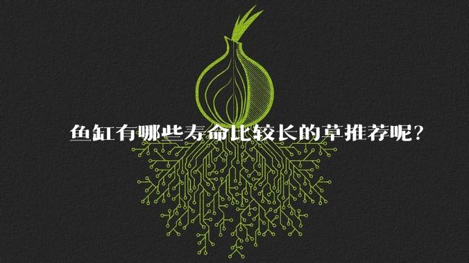鱼缸有哪些寿命比较长的草推荐呢？
