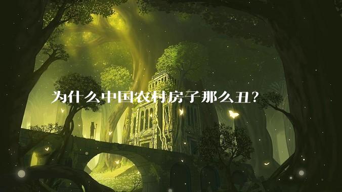 为什么中国农村房子那么丑？