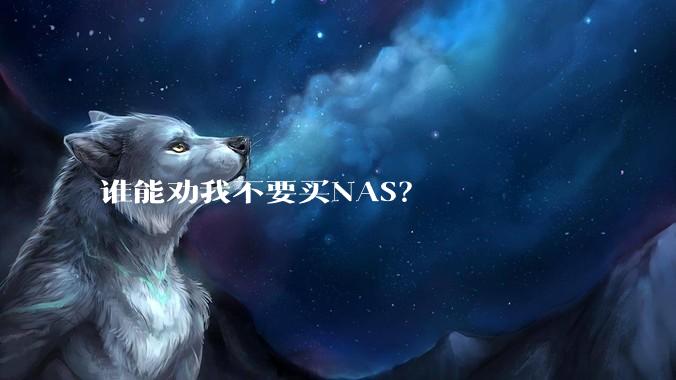 谁能劝我不要买NAS？