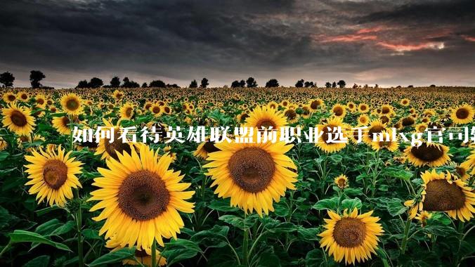如何看待英雄联盟前职业选手mlxg官司输了，被强制执行2500w？