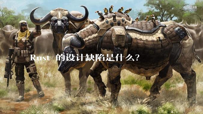Rust 的设计缺陷是什么？