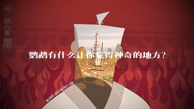 鹦鹉有什么让你觉得神奇的地方？