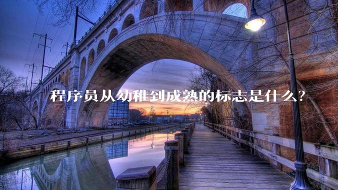 程序员从幼稚到成熟的标志是什么？