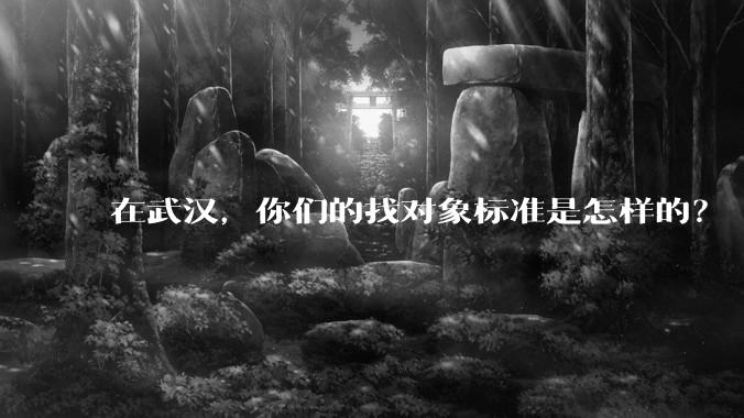 在武汉，你们的找对象标准是怎样的？