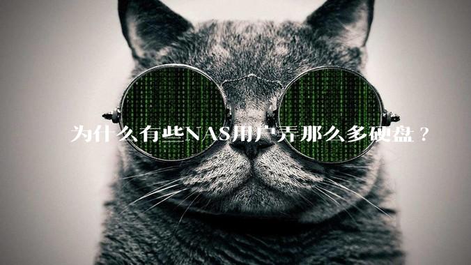 为什么有些NAS用户弄那么多硬盘?