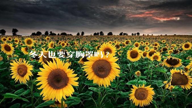 冬天也要穿胸罩吗?