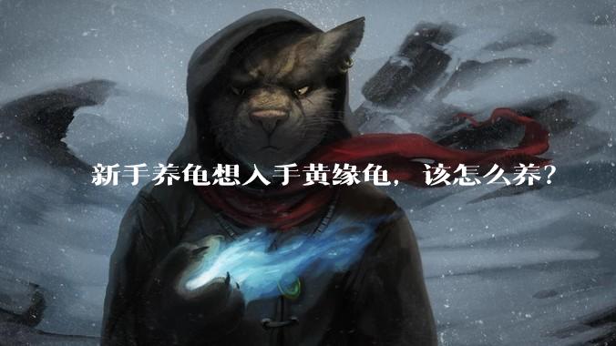 新手养龟想入手黄缘龟，该怎么养？