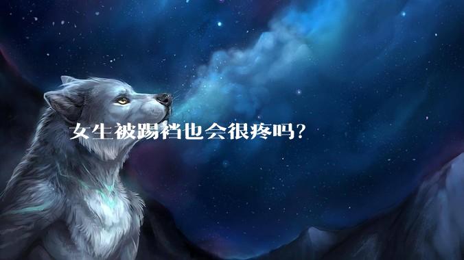 女生被踢裆也会很疼吗？