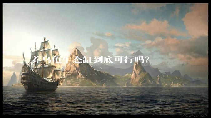 养乌龟生态缸到底可行吗？