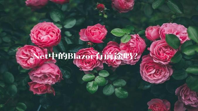 .Net中的Blazor有前途吗？