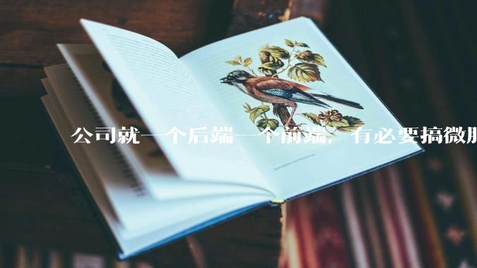 公司就一个后端一个前端，有必要搞微服务吗？