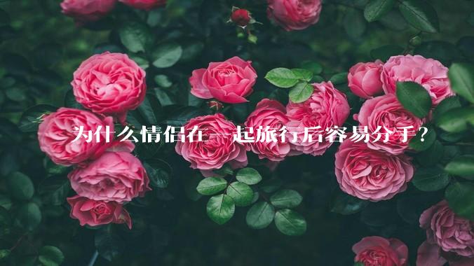 为什么情侣在一起旅行后容易分手？