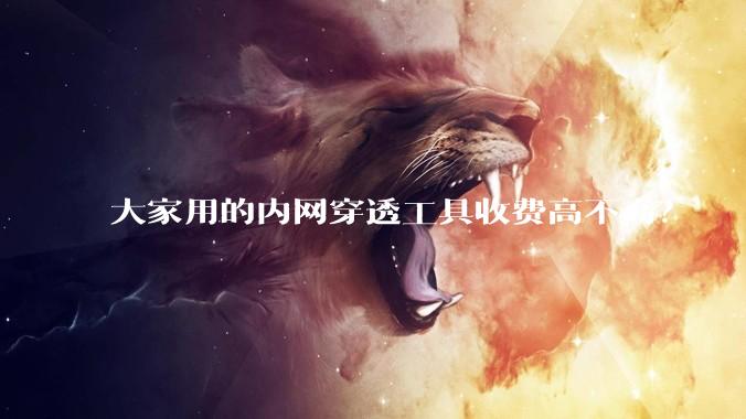 大家用的内网穿透工具收费高不高？
