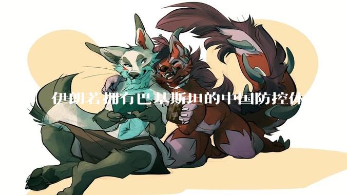 伊朗若拥有巴基斯坦的中国防控体系，能否把美国的B2轰炸机打下来？如果打下会对世界局势产生什么影响？