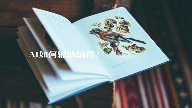 AI如何辅助编程？